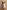 Women Skirts & Dresses