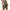 Men’s Core Training Shorts with Pocket