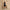 Women's Collared Flare Dress