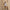 Women's Keyhole Flare Dress