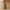 Women’s Flowline Wide-Leg Trousers