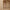 Women’s Flowline Wide-Leg Trousers