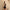 Women’s Formline Crop Tank