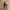 Women’s Halter Ruched Back Jumpsuit – Fitted Leg