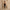 Women’s Halter Ruched Back Jumpsuit – Fitted Leg