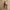 Women’s Halter Ruched Back Jumpsuit – Fitted Leg