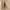Women’s Halter Ruched Back Jumpsuit – Fitted Leg