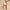 Women’s High-Rise Pocket Shorts