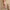 Women’s High-Waisted Flare Leggings With Pockets – Sculpt Fit