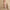Women’s High-Waisted Flare Leggings With Pockets – Sculpt Fit