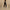 Women’s High-Waisted Performance Leggings – Sleek Fit