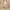 Women’s High-Waisted Performance Leggings – Sleek Fit