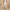 Women’s High-Waisted Performance Leggings – Sleek Fit