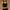 Women’s Mono Strap Crop Top